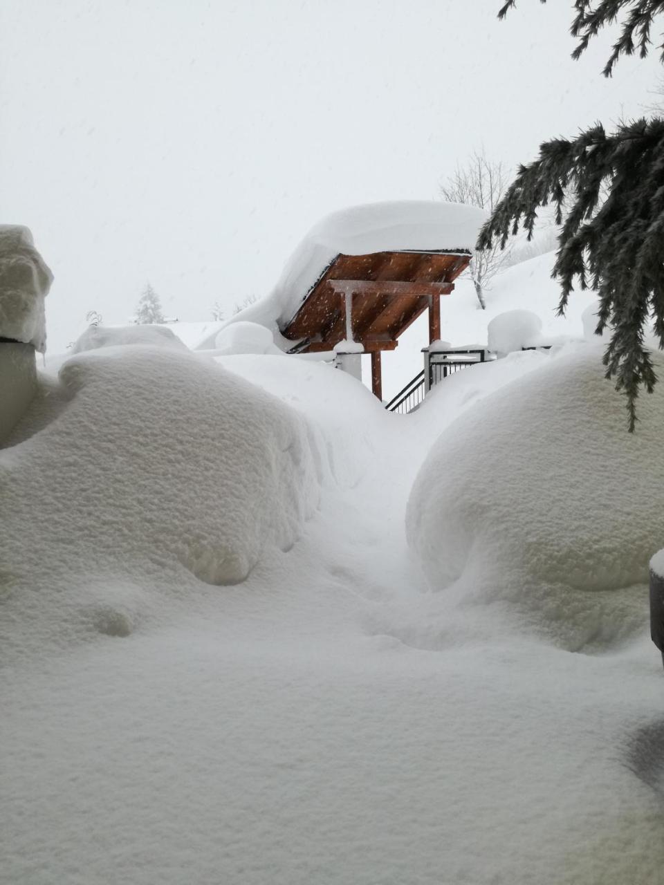 Appartement Kendlhof *